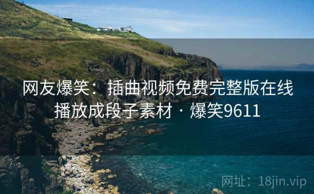 网友爆笑：插曲视频免费完整版在线播放成段子素材 · 爆笑9611
