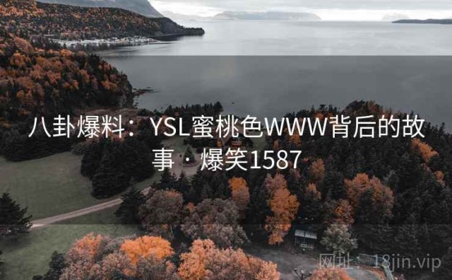 八卦爆料：YSL蜜桃色WWW背后的故事 · 爆笑1587