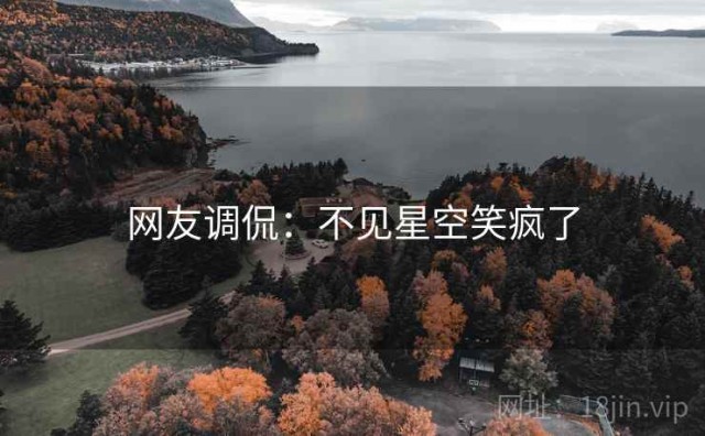 网友调侃：不见星空笑疯了