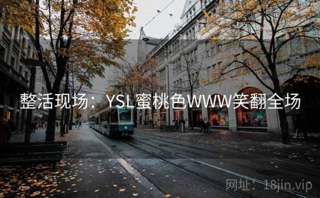整活现场：YSL蜜桃色WWW笑翻全场