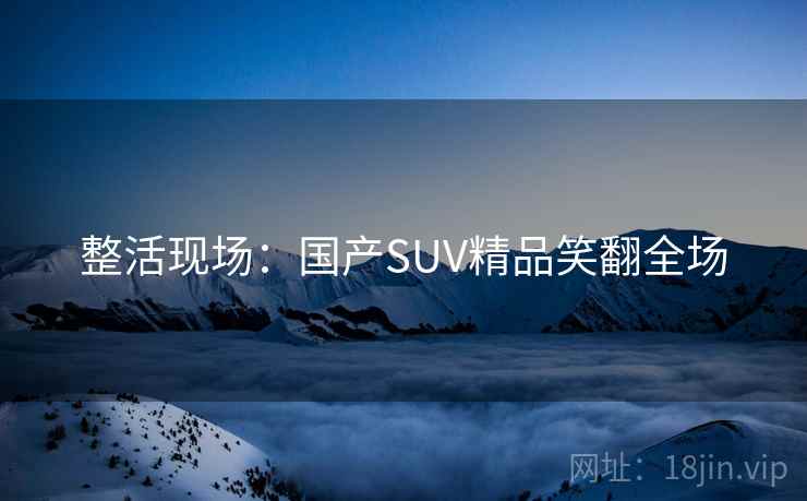 整活现场：国产SUV精品笑翻全场
