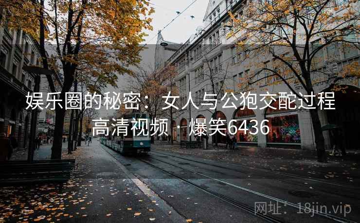 娱乐圈的秘密：女人与公狍交酡过程高清视频 · 爆笑6436