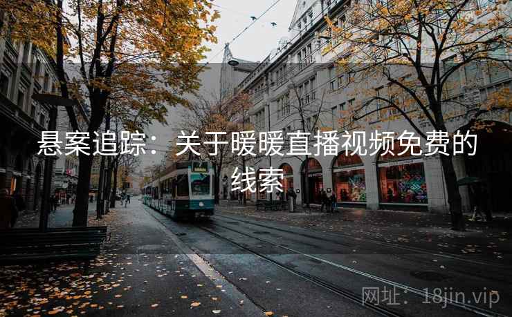悬案追踪：关于暖暖直播视频免费的线索