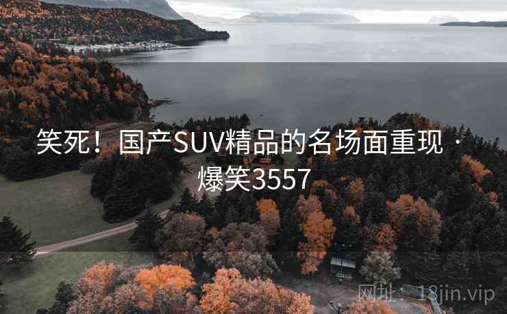 笑死！国产SUV精品的名场面重现 · 爆笑3557